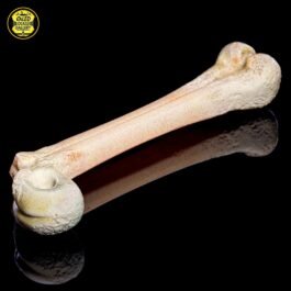 Bone Sidecar Pipe
