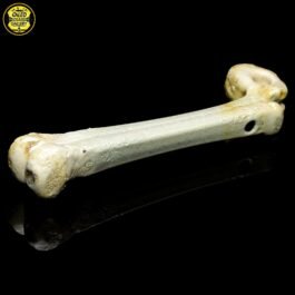 Bone Sidecar Pipe